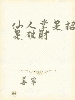 仙人掌是招财还是破财