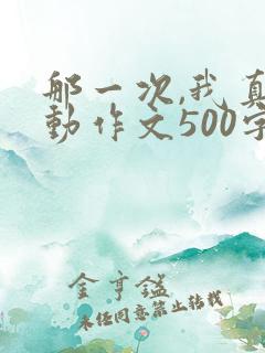 那一次,我真激动作文500字