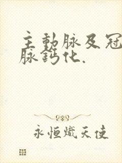 主动脉及冠状动脉钙化.