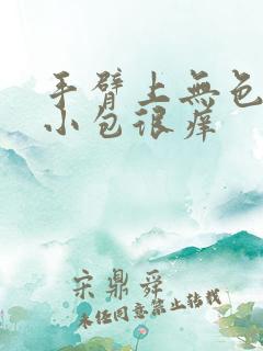 手臂上无色凸起小包很痒