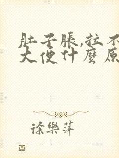 肚子胀,拉不出大便什么原因