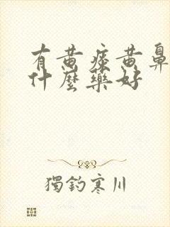 有黄痰黄鼻涕吃什么药好