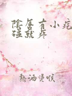 阴唇有小疙瘩一碰就疼