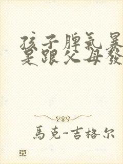 孩子脾气暴躁总是跟父母发脾气