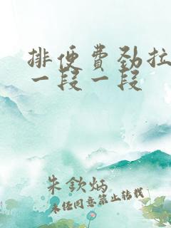 排便费劲拉出来一段一段