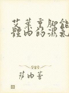 艾叶熏脚能祛除体内的湿气吗