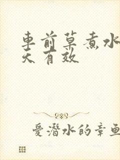 车前草煮水喝几天有效