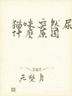 猫咪突然尿闭是什么原因