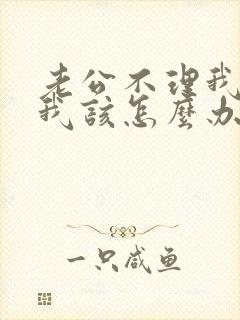 老公不理我了,我该怎么办