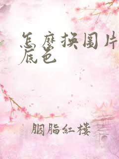 怎么换图片背景底色