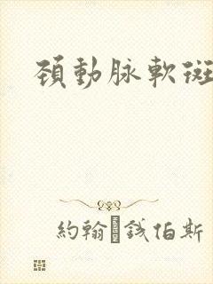 颈动脉软斑块治