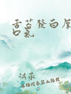 舌苔发白厚腻有口气