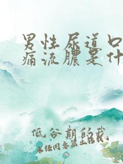 男性尿道口红肿痛流脓是什么原因