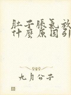 肚子胀气放屁是什么原因引起的