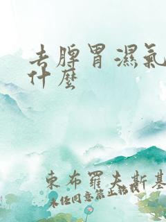 去脾胃湿气重吃什么