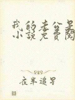 我的老公是条狗小说免费阅读