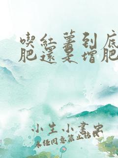 吃红薯到底是减肥还是增肥