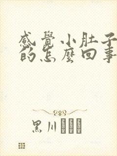 感觉小肚子硬硬的怎么回事