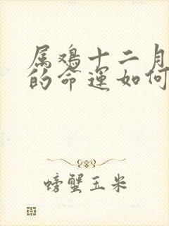 属鸡十二月出生的命运如何