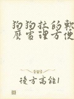 狗狗拉的软便怎么处理方便