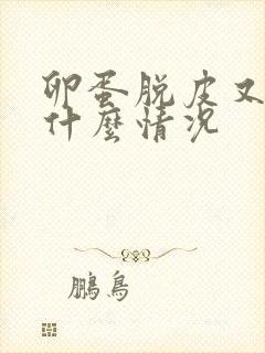 卵蛋脱皮又痒是什么情况