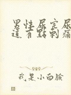 男性尿完尿后尿道有点刺痛还想尿