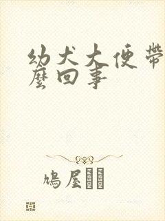 幼犬大便带血怎么回事