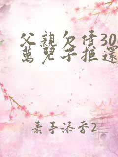 父亲欠债300万儿子拒还法院判了