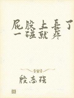 屁股上长了疙瘩一碰就疼