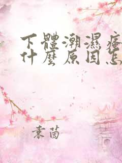 下体潮湿瘙痒是什么原因怎么解决