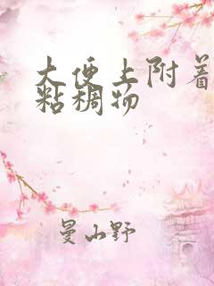 大便上附着黄色粘稠物