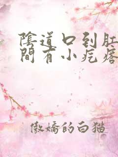 阴道口到肛门中间有小疙瘩