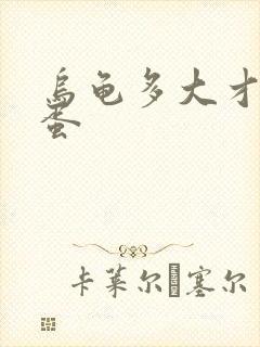 乌龟多大才能生蛋