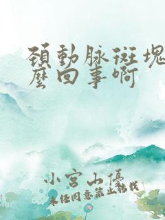 颈动脉斑块是怎么回事啊