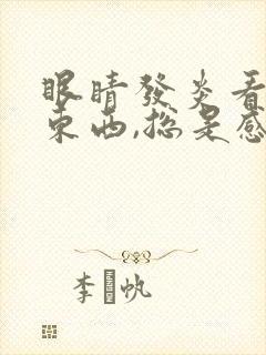 眼睛发炎看不清东西,总是感觉模糊