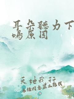 耳朵听力下降耳鸣原因