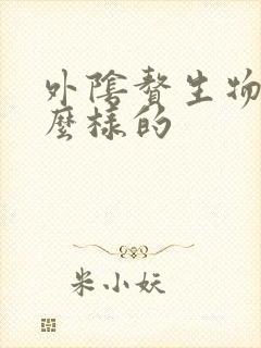 外阴赘生物是什么样的