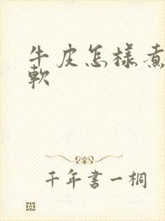 牛皮怎样煮容易软