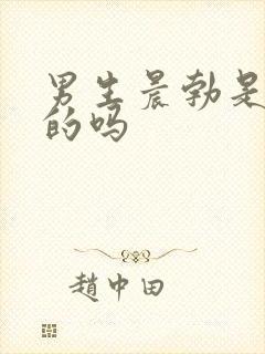 男生晨勃是每天的吗