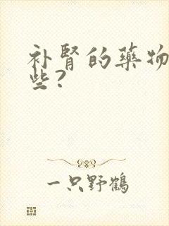 补肾的药物有哪些?