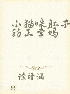 小猫咪肚子鼓鼓的正常吗