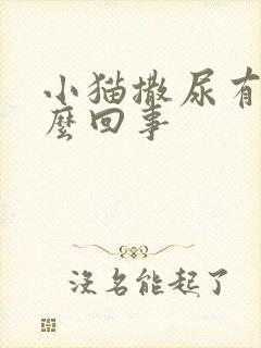 小猫撒尿有血怎么回事