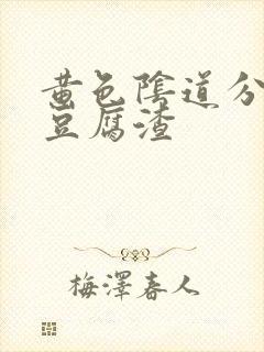 黄色阴道分泌物豆腐渣