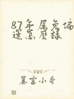 87年属兔偏财运怎么样