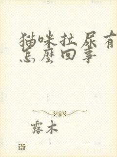 猫咪拉尿有血是怎么回事