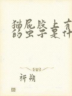 猫屁股上有白色的虫子是什么虫