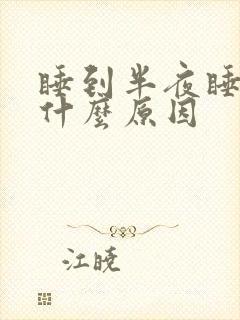 睡到半夜睡不着什么原因