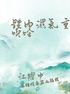 体内湿气重不能吃啥