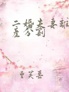 二婚夫妻离婚财产分割