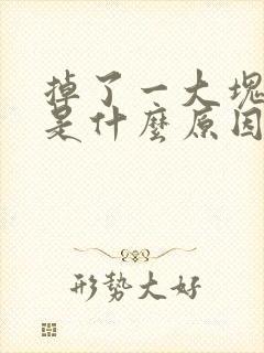 掉了一大块头发是什么原因